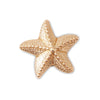 JIBBITZ GOLD STAR FISH