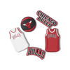 JIBBITZ 5 PCS CHICAGO BULLS