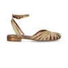 CANGREJERA BRONZE